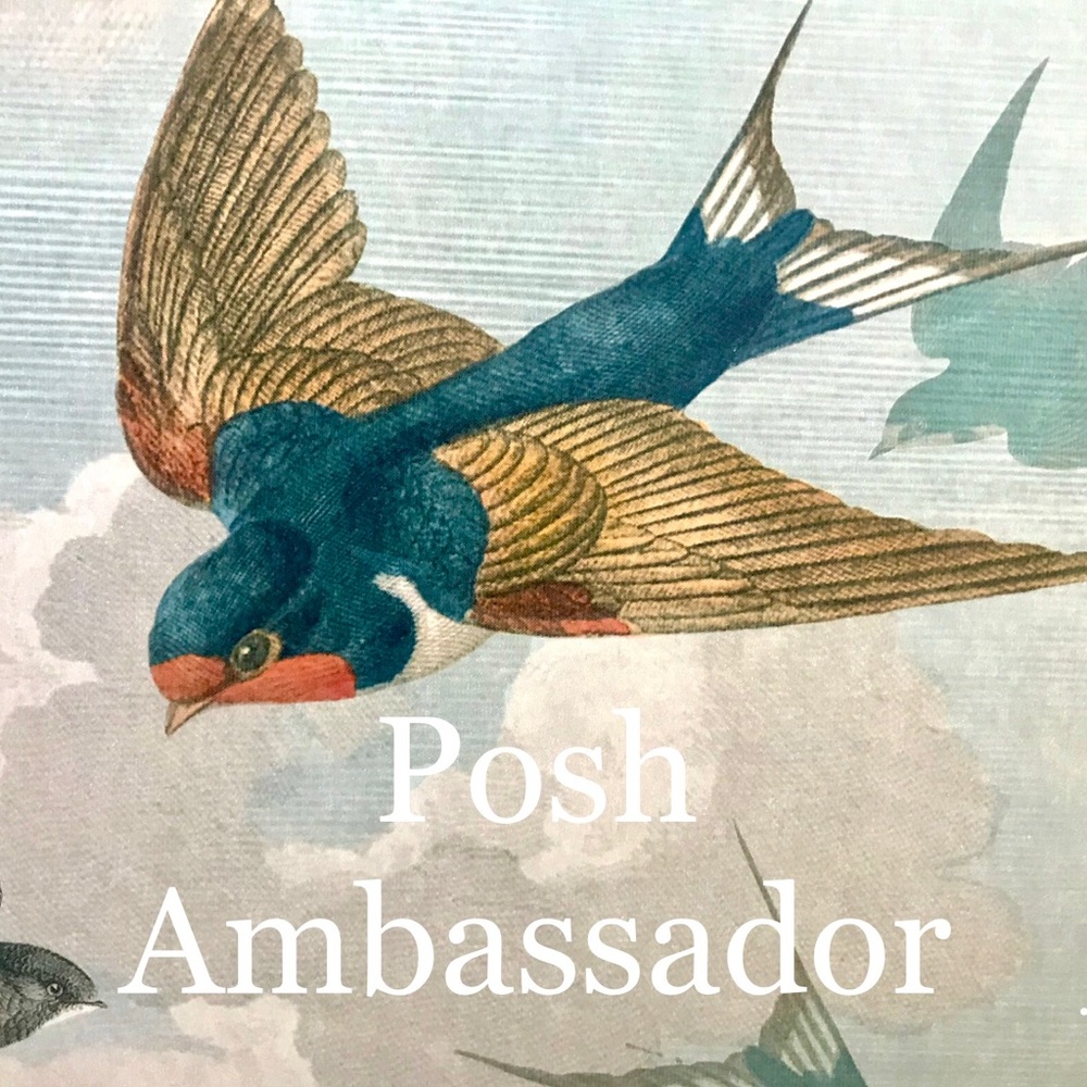 Meet your Posher, Little Swift Thrift